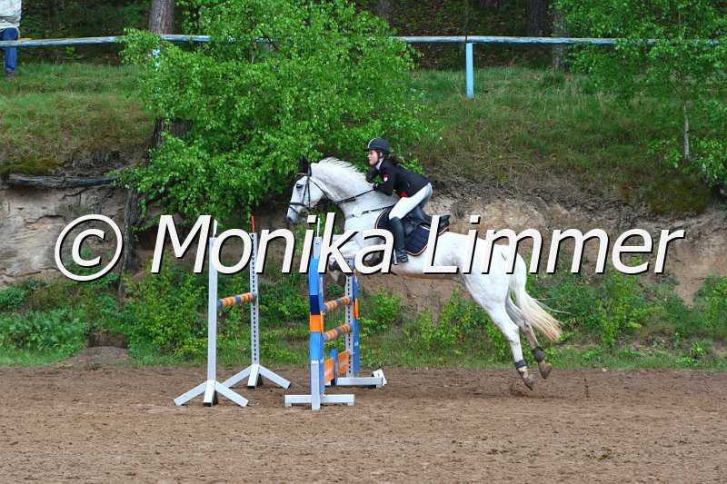 005L4281_Life Is Life__Spring A_R-IQ Cup.JPG